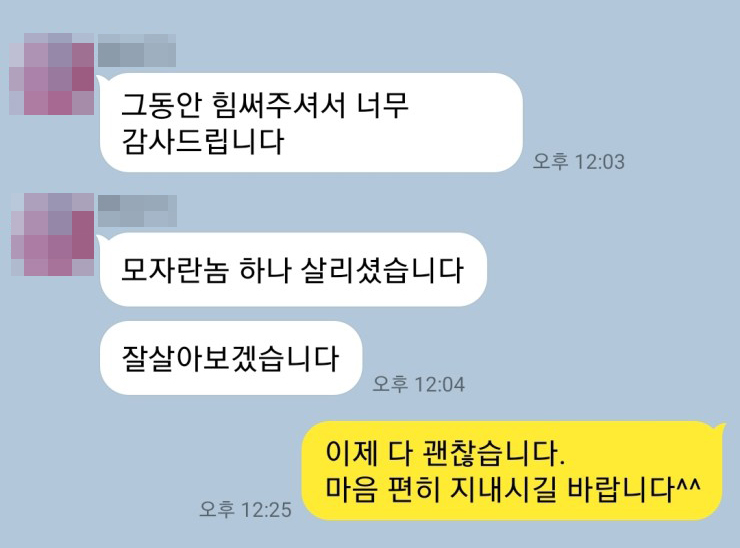 보이스피싱 보이스피싱가해 보이스피싱변호사 사기변호사 보이스피싱중간책사례